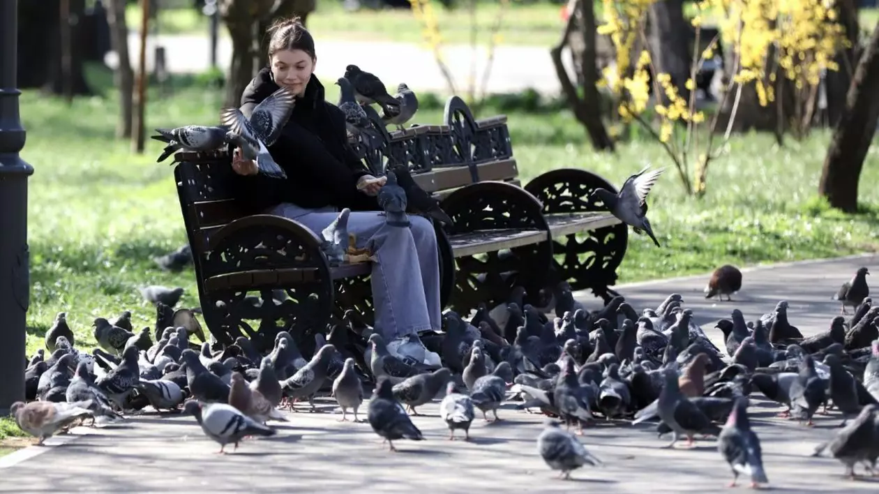 O tânără stă pe bancă într-un parc, hrănește porumbeii, câteva păsări au venit pe mâna ei să mănânce, altele sunt pe piciorul ei și foarte mulți porumbei pe jos, lângă ea, București, Parcul Cișmigiu, martie 2025
