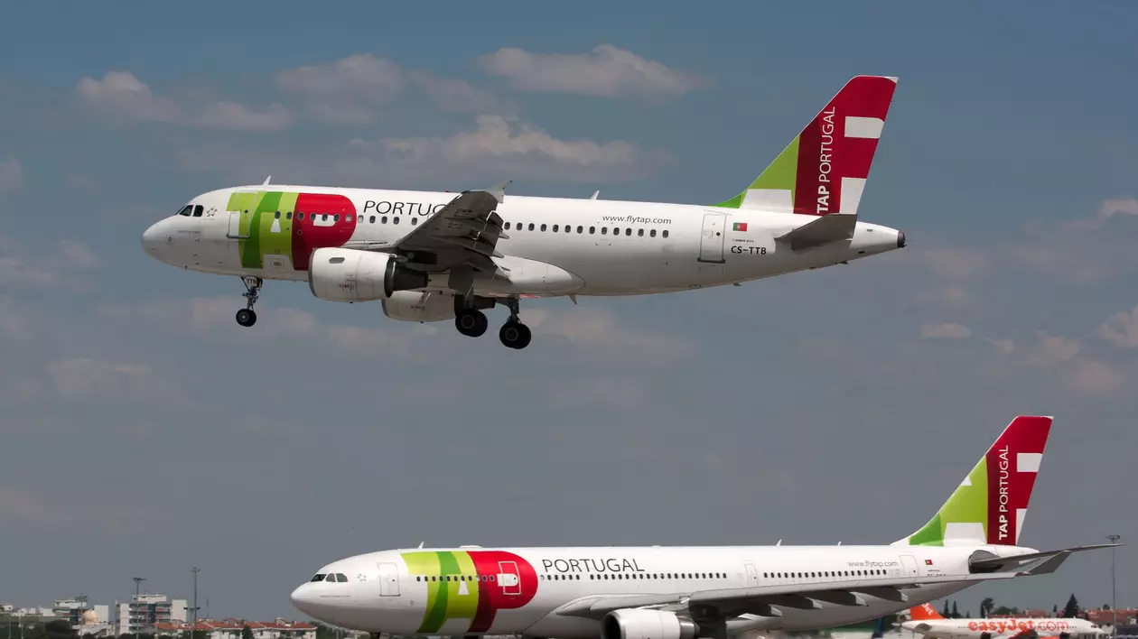 Avioane care zboară ca gâștele, proiect pentru economie de combustibil: „Folosim natura pentru a inspira tehnologia”